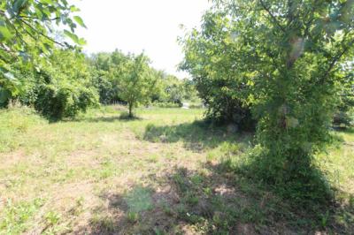 Apartments, Large Garage, Large Garden