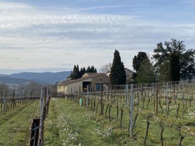 Exceptional Property Near Limoux -
