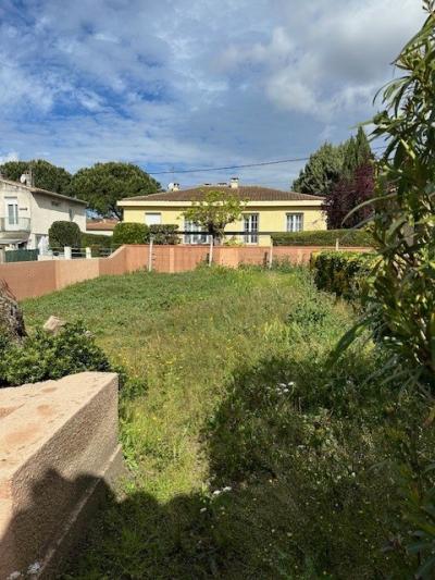 Detached House with Tower and Garden