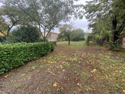 Huge House With Garden And Outbuildings