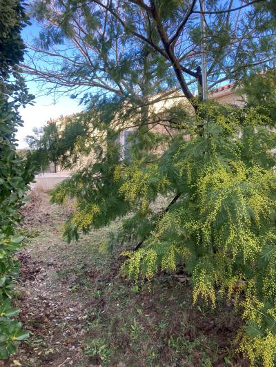Contemporary Detached House with Swimming Pool
