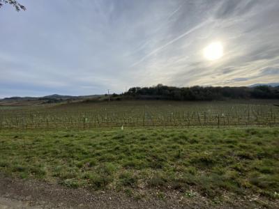 Exceptional Property with Land