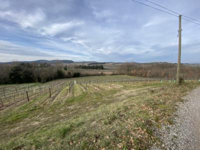 Exceptional Property with Land