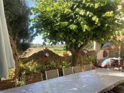 Mansion House With Garden And Terrace