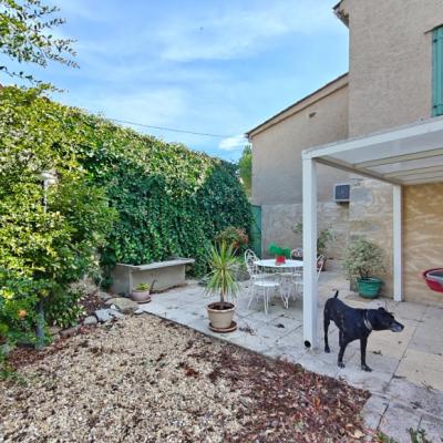 Two Houses in 34 Hectares of Vineyards