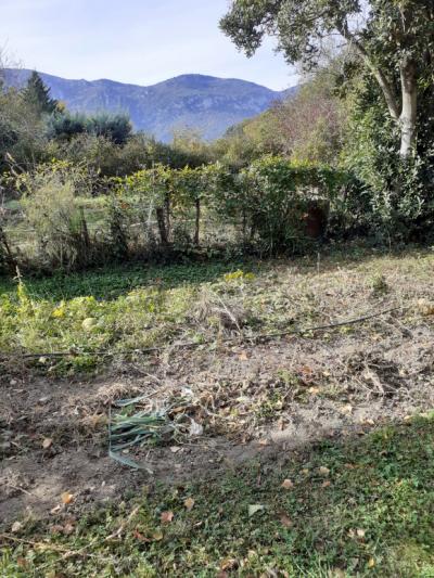 Fully Restored House With Character and Separate Garden