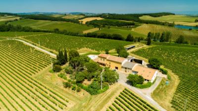 Exceptional Wine Estate On 36 Hectares