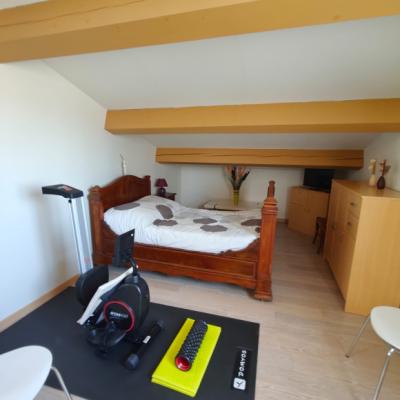 Two Houses in 34 Hectares of Vineyards