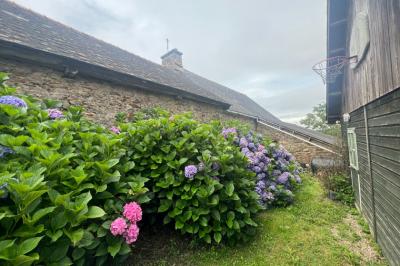 Character House in the Countryside