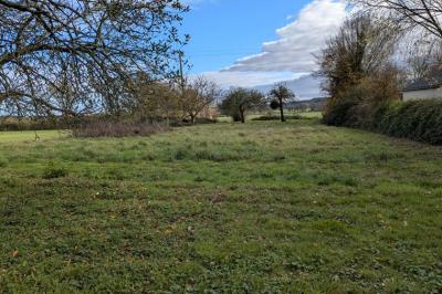 Detached Country House with Outbuilding