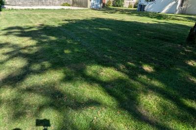 Detached House with Garden