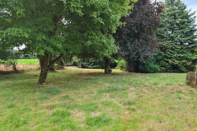 Country House with Large Rooms and Land