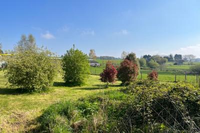 Detached Country House with Parkland Garden